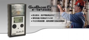 GB90 (Ex) 单一可燃气体检测仪